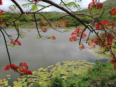 Photos of Levera National Park