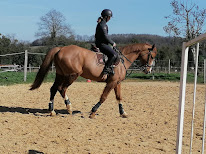 Hand In Cap Mocalou à Lucy