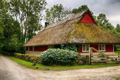 Photos of Muhu Ostrich Ltd.