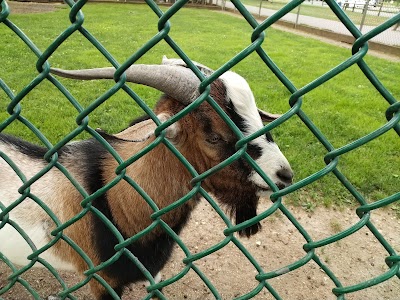 Johnson Park Zoo