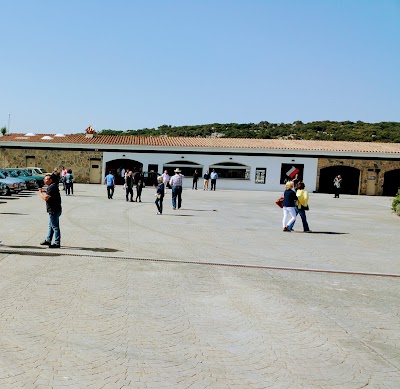 Photos of Circuito Ascari
