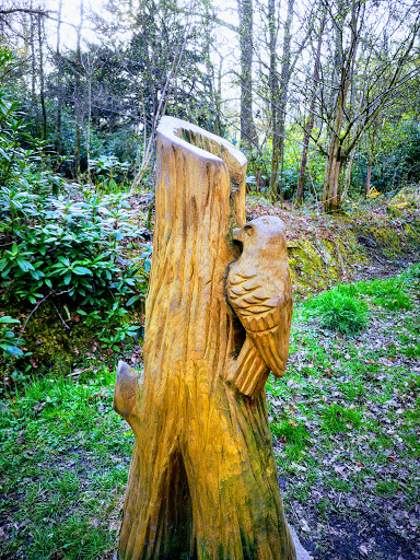 Friends of Plean Country Park - Thumbnail