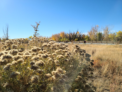 Cherry Creek ​Dog Of​f Leash Area (DOLA)
