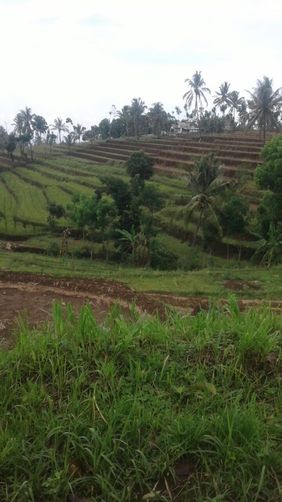 Photos of Burung Walet Waterfall