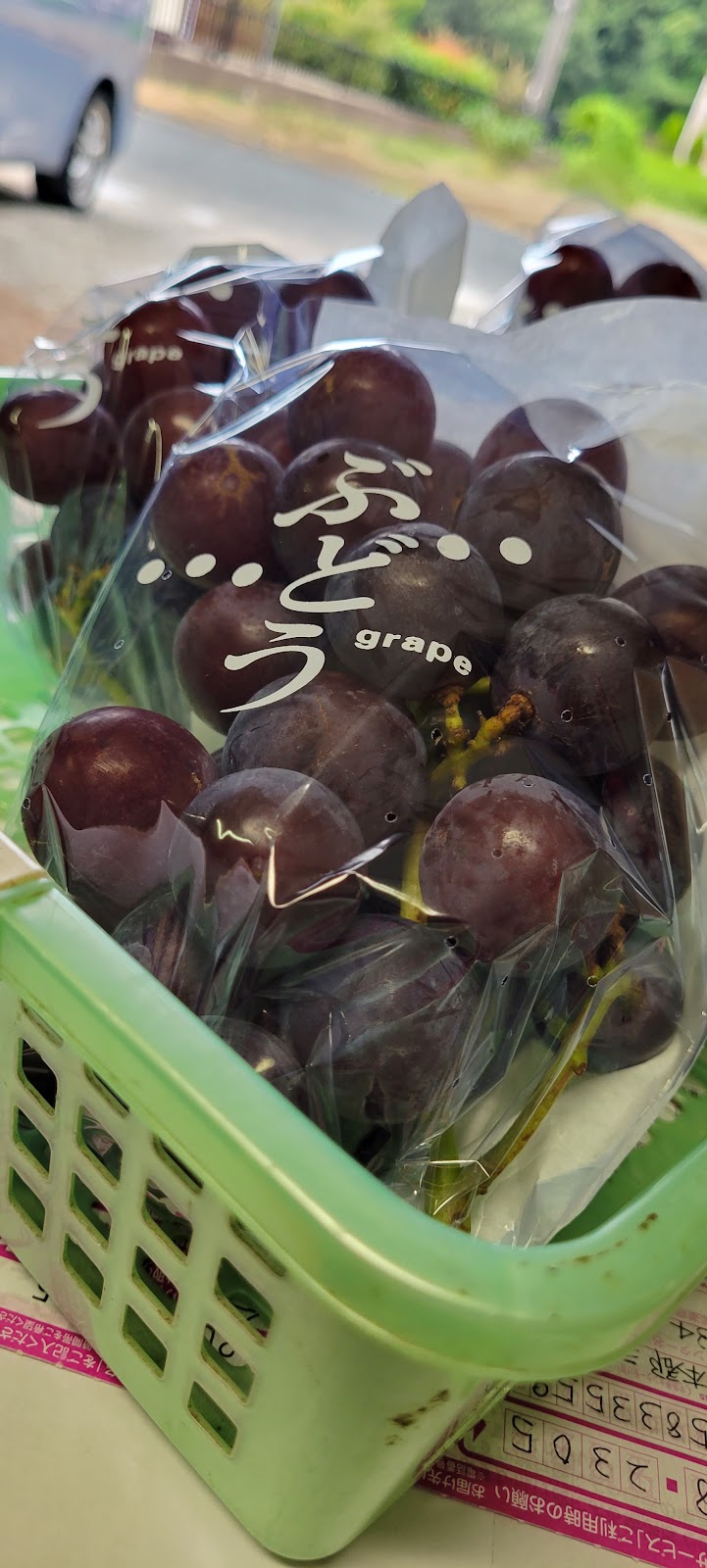 松尾ぶどう農園