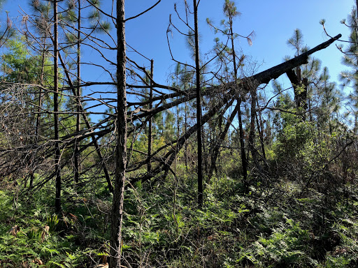 Otto Hill Recreation area - Thumbnail