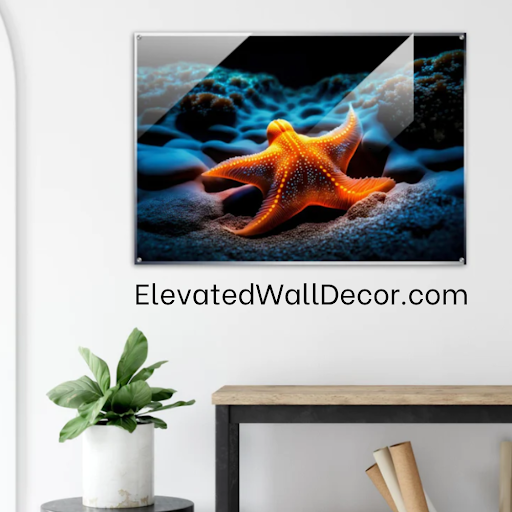 Elevated Wall Decor - Visual