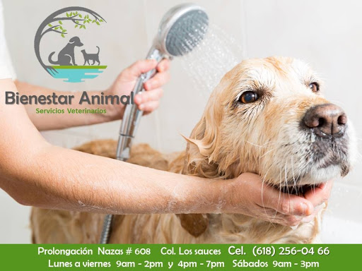 Clínica Bienestar Animal