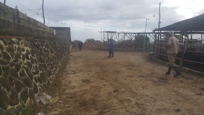 Photos of Socovia