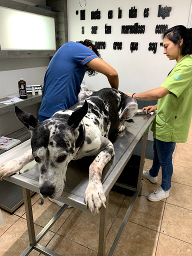 Animal Sweet (Clinica Veterinaria & Dog Spa)