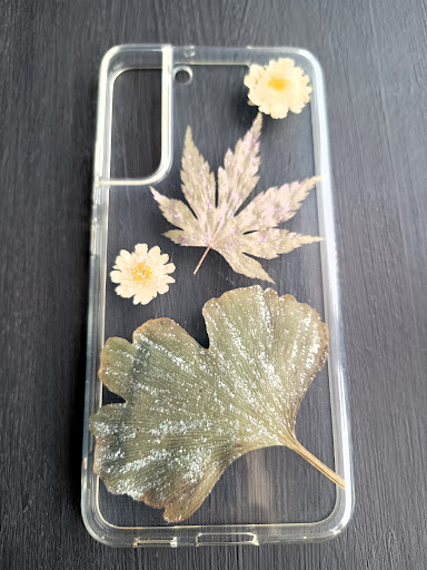 Forest and Ferns - Thumbnail