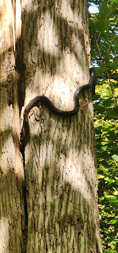 Williamsburg to Batavia Hike-Bike Trail - Zagar Rd. Parking Lot Gallery - United States