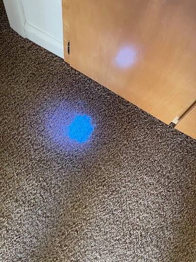 Like New Carpet Cleaning - Thumbnail