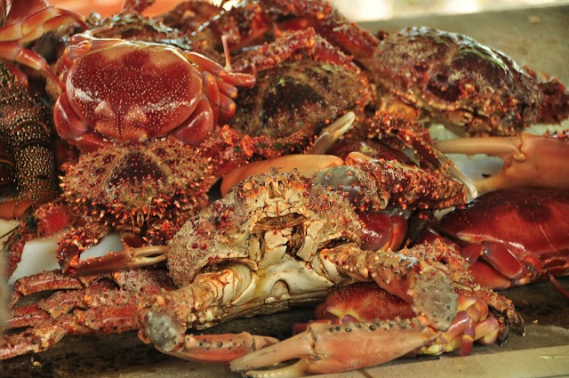 Marché aux poissons