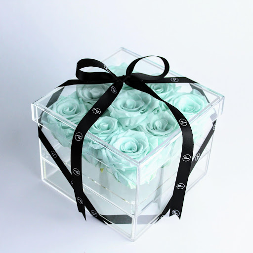 Privé Roses - Visual
