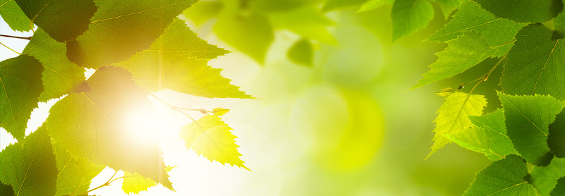 Praxis Dr. Boris Sinnstein photo