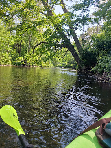Puddletown Adventures