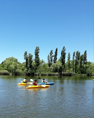 Camping El Ceibo, Isla Santiago, Author: Stella Maris Vicchi