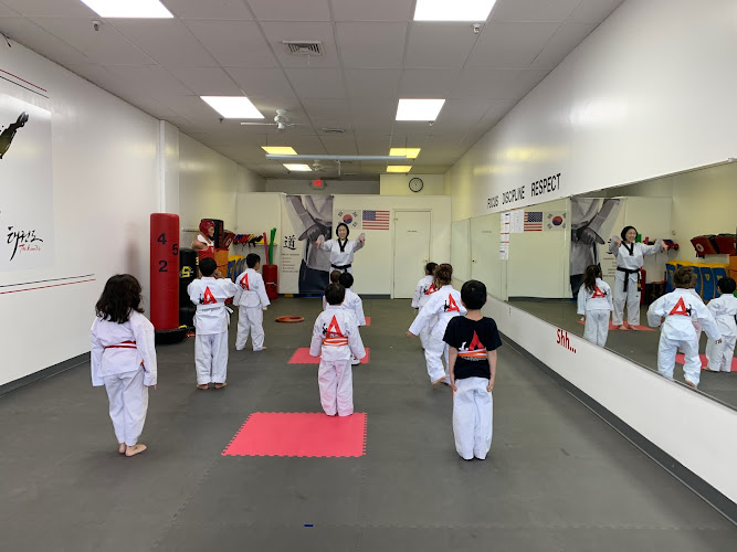 Able Martial art / Taekwondo - taekwondo in Denville, New Jersey