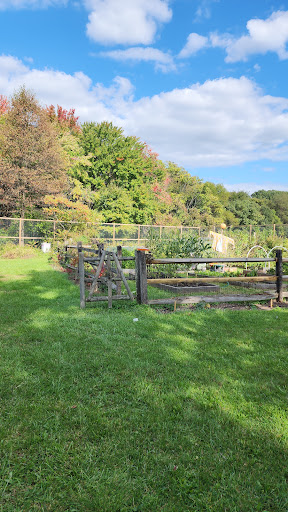CCBC Essex Community Garden