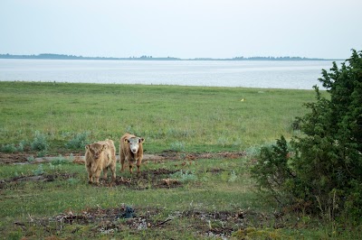 Photos of Rumpo linnuvaatlusplatvorm