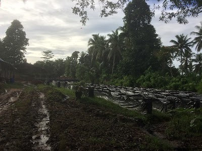 Photos of Pabrik bata merah mahiro utama