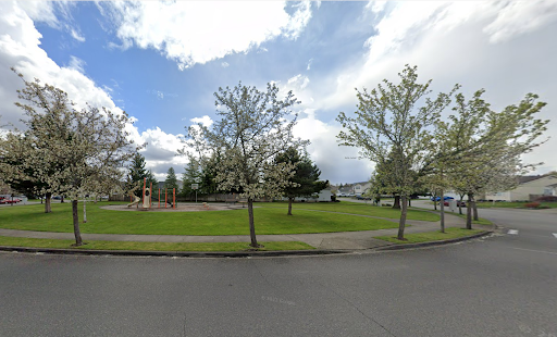 Old Pioneer Park - Thumbnail