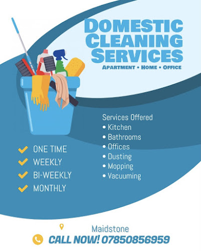 Comments and reviews of Domestic cleaning services
