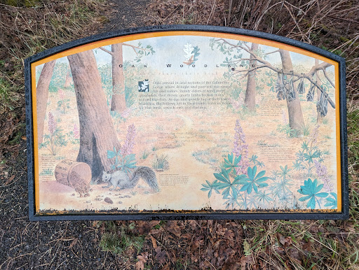 Sams Walker Day Use/Picnic Area - Thumbnail