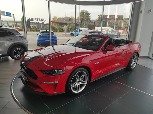 Service Ford Nuova Sa-car - Thumbnail