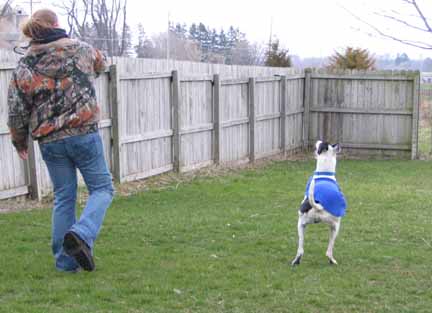 Krystal Creek Kennel Gallery - United States