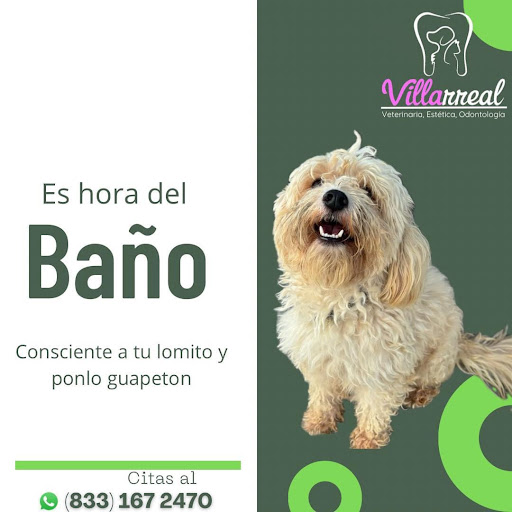 Veterinaria, Estetica y Odontologia Canina Villarreal