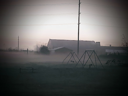 John Repko Field - Visual