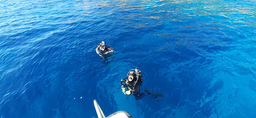 International Diving - Visual