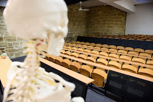 Photo n°3 de IDO Paris - Institut Dauphine d'Ostéopathie à Paris (Établissement d'enseignement supérieur)