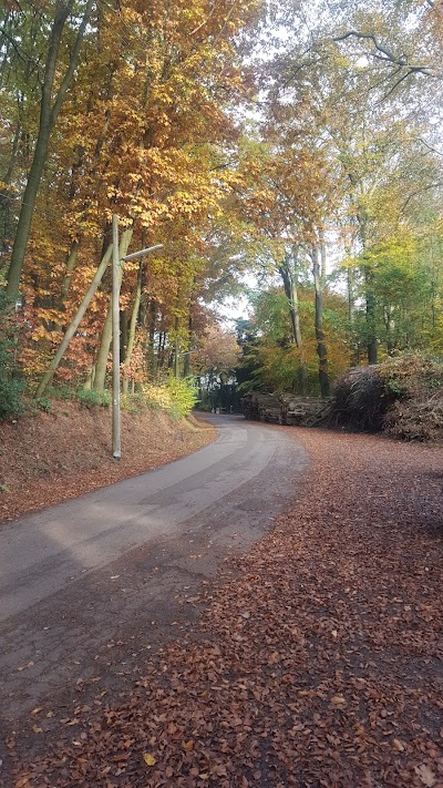 Photos of Forest adventure of forest climbing park Velbert-Langenberg