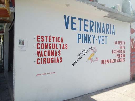 Veterinaria Pinky-vet