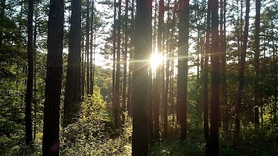 Sunnen Campsite, Beaumont Scout Reservation