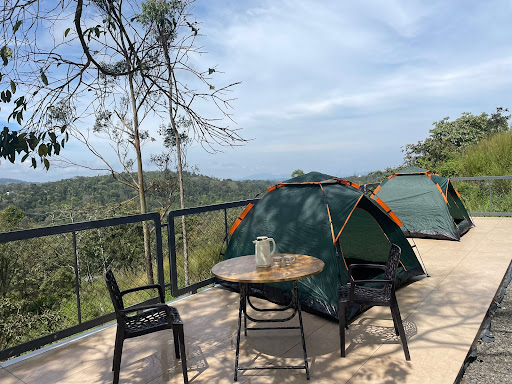 Escape into nature at The Fortuna Crown, your peaceful hill retreat near Munnar  post image