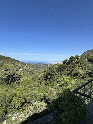 Ταβέρνα Δόξας