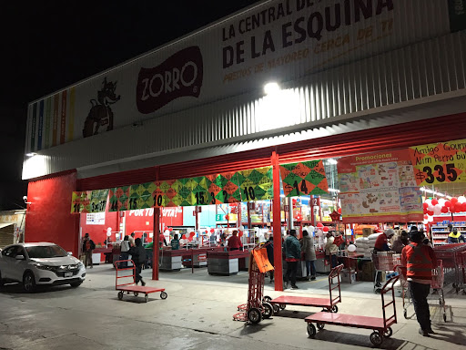 Zorro Abarrotero Actopan