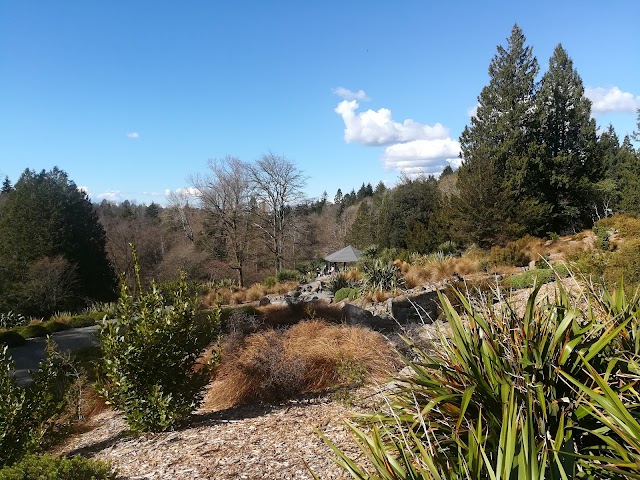 Washington Park Arboretum, Pacific Connections Gardens