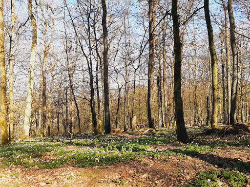 Wanderparkplatz Tiergarten - Thumbnail