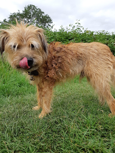 Minster Veterinary Centre - Thumbnail