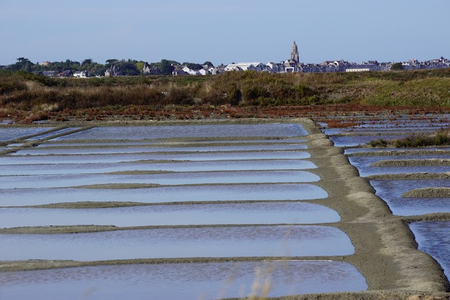 Marais salants de Guérande