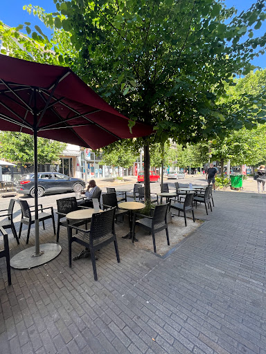 Le Domus Avignon