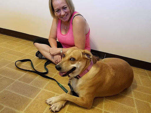 Ark Animal Hospital & Clinic (CALM VETERINARY PRACTICE)) - Thumbnail