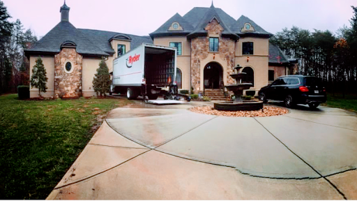 Prolific Relocation - Visual