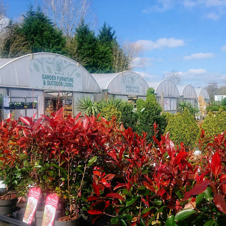 Hudsons Plant Centre Ltd Garden