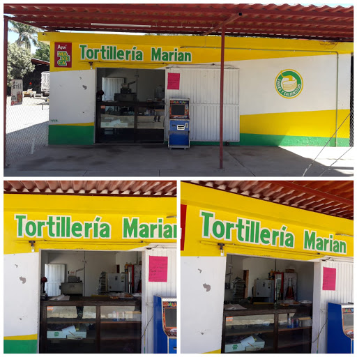 Tortilleria marian